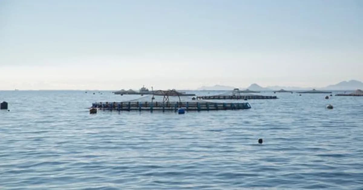 AI Aquaculture in 2026: Smarter Fish Farming Technology