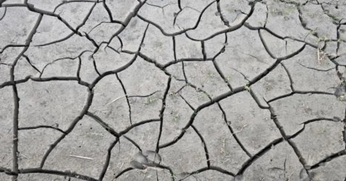 AI and Climate: How Artificial Intelligence Is Tackling Sustainability