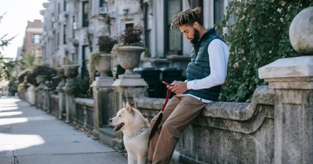 AI Dog Training Apps in 2026: Smarter Pet Coaching