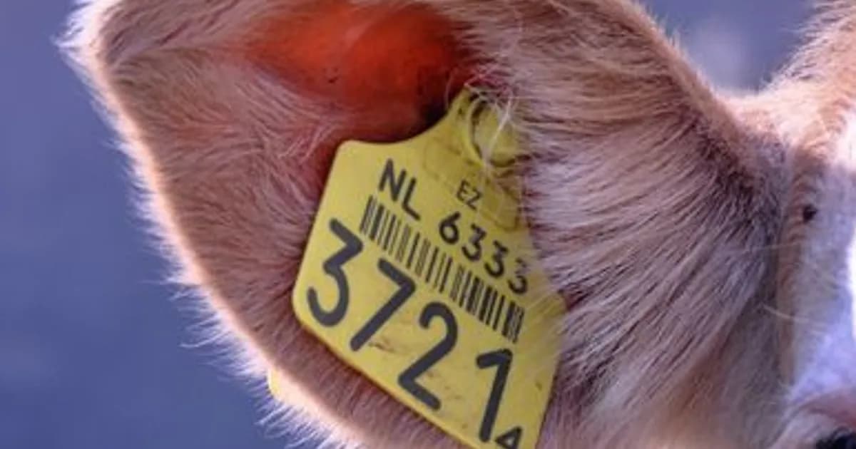 AI Livestock Health Monitoring in 2026: Smarter Herds