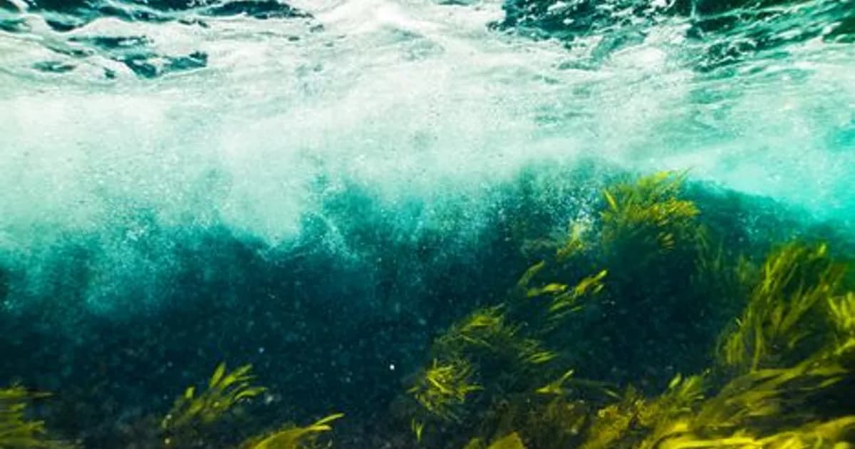 AI Subsea Cable Monitoring 2026: Protecting the Internet