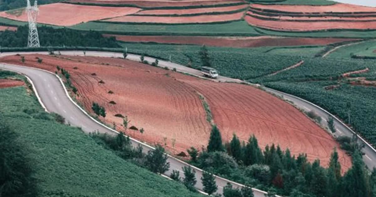 AI in Agriculture September 2026: Precision Farming Takes Hold