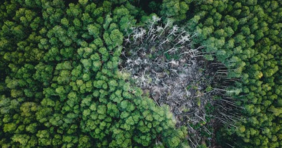 AI in Environmental Monitoring 2026: Protecting Our Planet